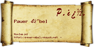 Pauer Ábel névjegykártya