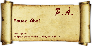 Pauer Ábel névjegykártya